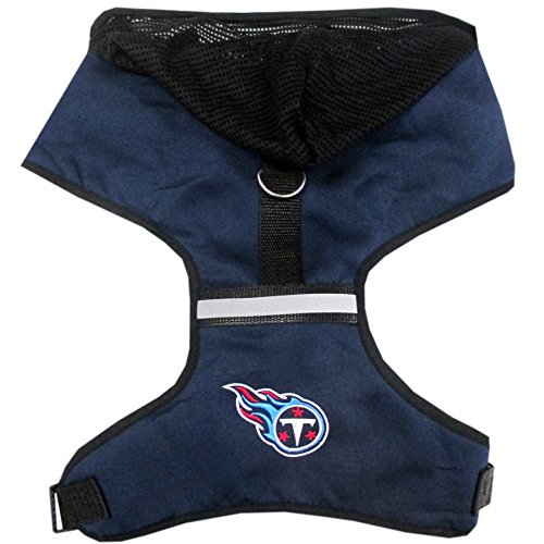 Tennessee Titans