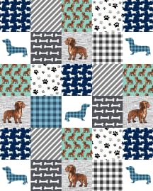 1 Dachshund