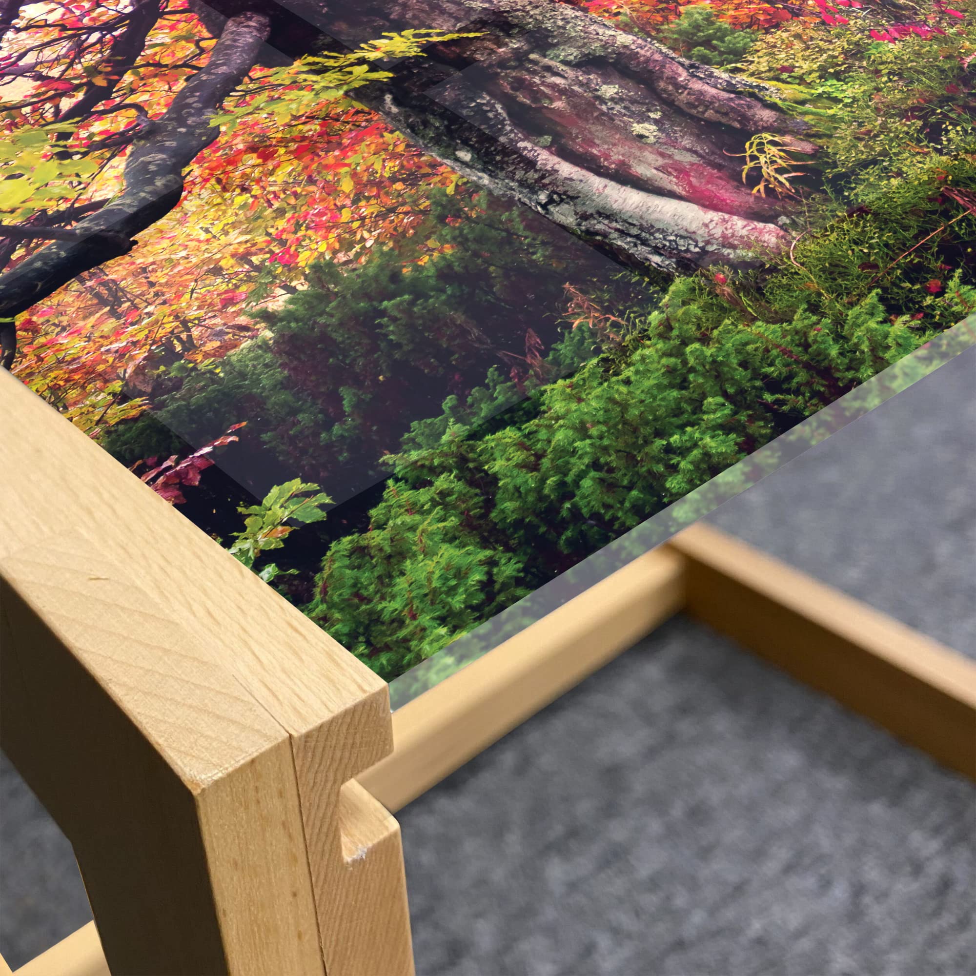 Ambesonne Forest Coffee Table - Autumn Trees Woodland Design for Office & Dorm Decor