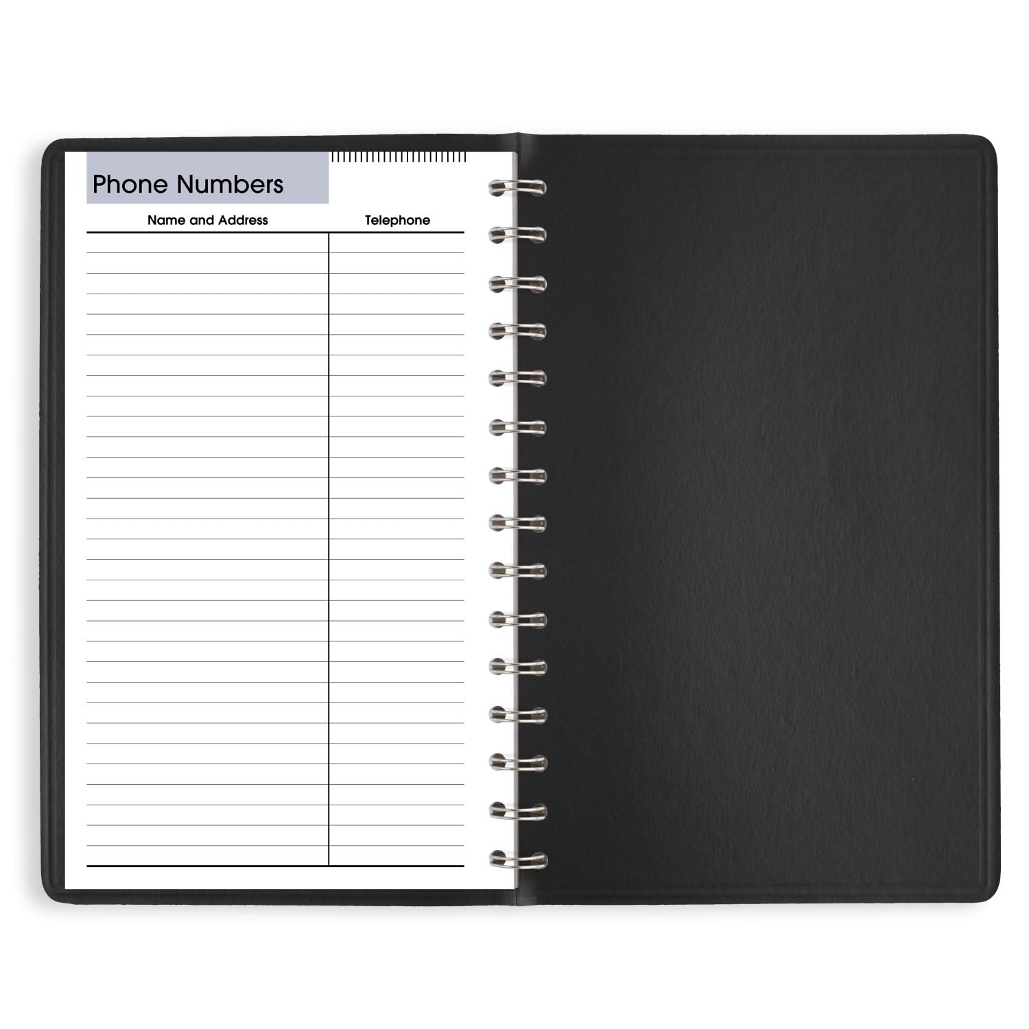 AT-A-GLANCE 2025 Daily Appointment Book Planner - 5