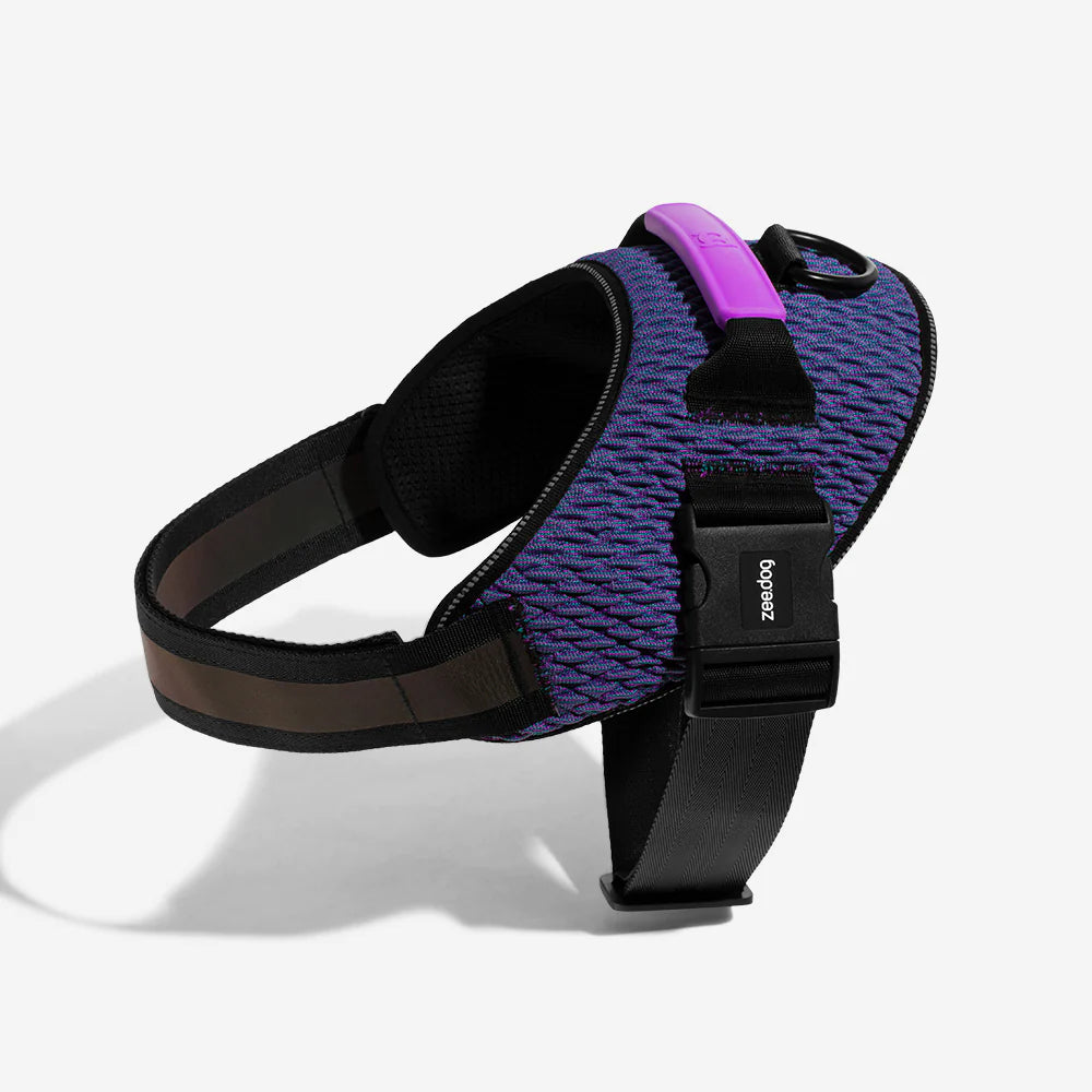 Wicked FlyHarness Zee.Dog Dog Harness - Adjustable & Breathable Pet Vest for Small, Medium & Large Dogs - Perfect for Walking, Running & Outdoor Adventures