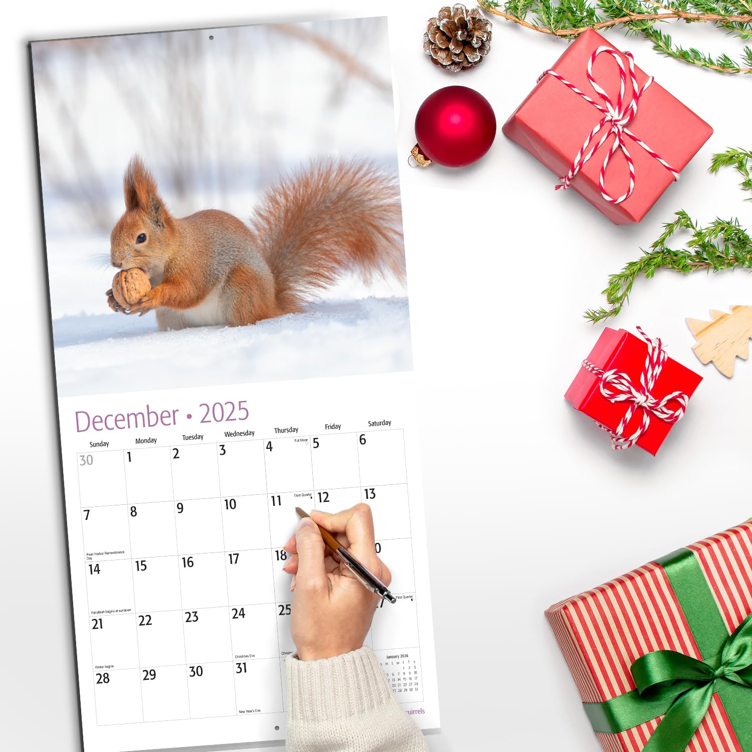 RED EMBER Squirrels 2025 Wall Calendar - 12 Month Large Format (12x24 Inches) with Thick Sturdy Paper - Perfect for Home, Office, Classroom Decor & Holiday Gifts