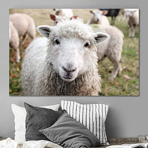 SingleLeader Sheepish Animals Closeup Canvas Wall Art - 32x48 Inch Farmhouse Country Photography Print for Bedroom Decor | Relaxing & Calming Expressionism Artwork | Perfect for Living Room, Nursery & Home Office