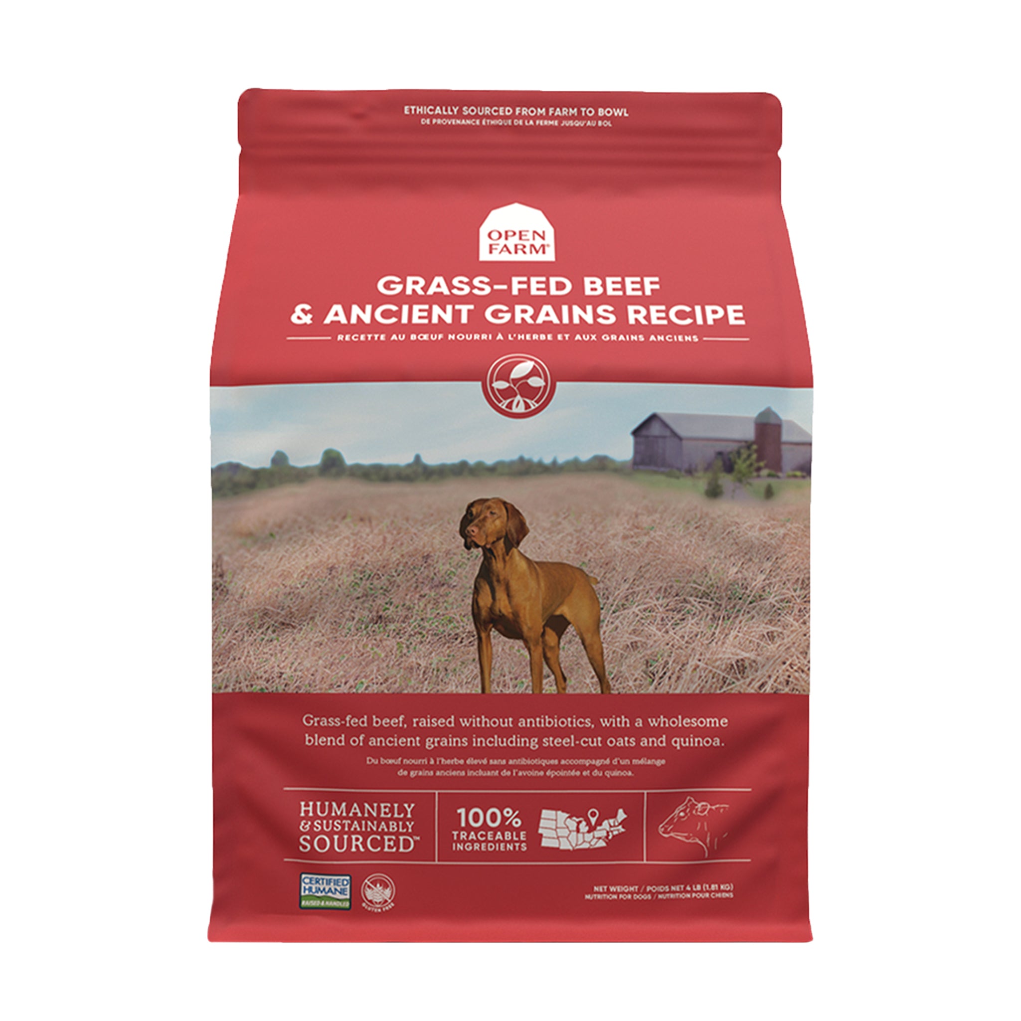 Open Farm Beef & Ancient Grains Dry Dog Food - High Protein, Grain-Inclusive Recipe for Adult Dogs - Perfect for Active Pets & Sensitive Stomachs