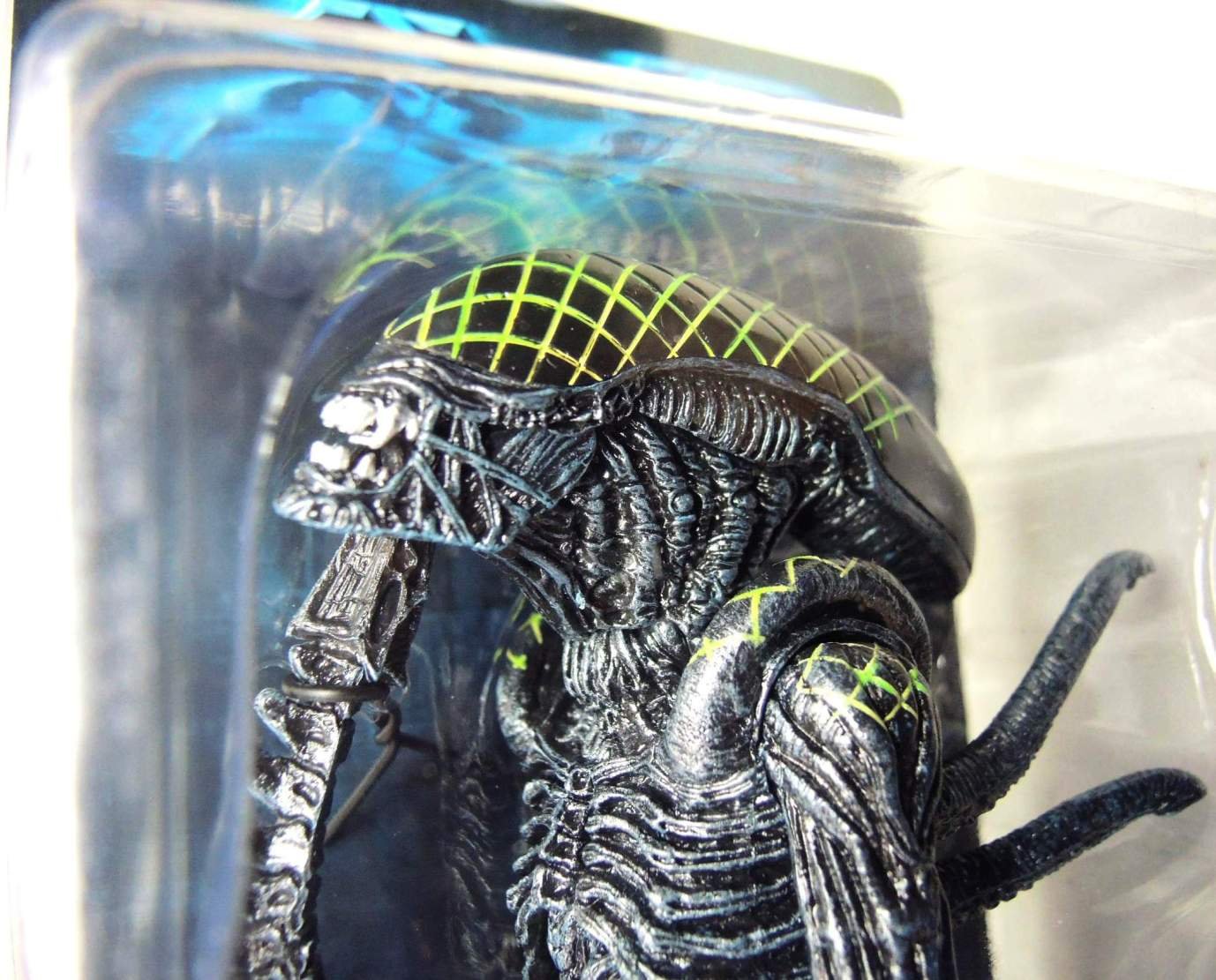 NECA Aliens Series 7 AvP Grid 7-Inch Scale Action Figure - Collectible Alien vs Predator Movie Character Toy for Display & Role Play