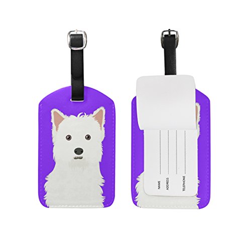 Dog-37