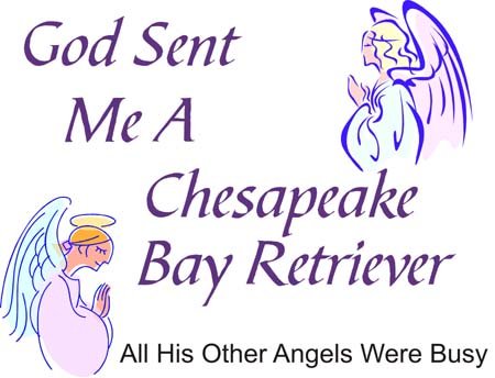 Cahoon's Closet God Sent Me A Chesapeake Bay Retriever T-Shirt - Funny Dog Lover Gift for Retriever Owners - Perfect for Casual Wear, Dog Parks & Outdoor Adventures