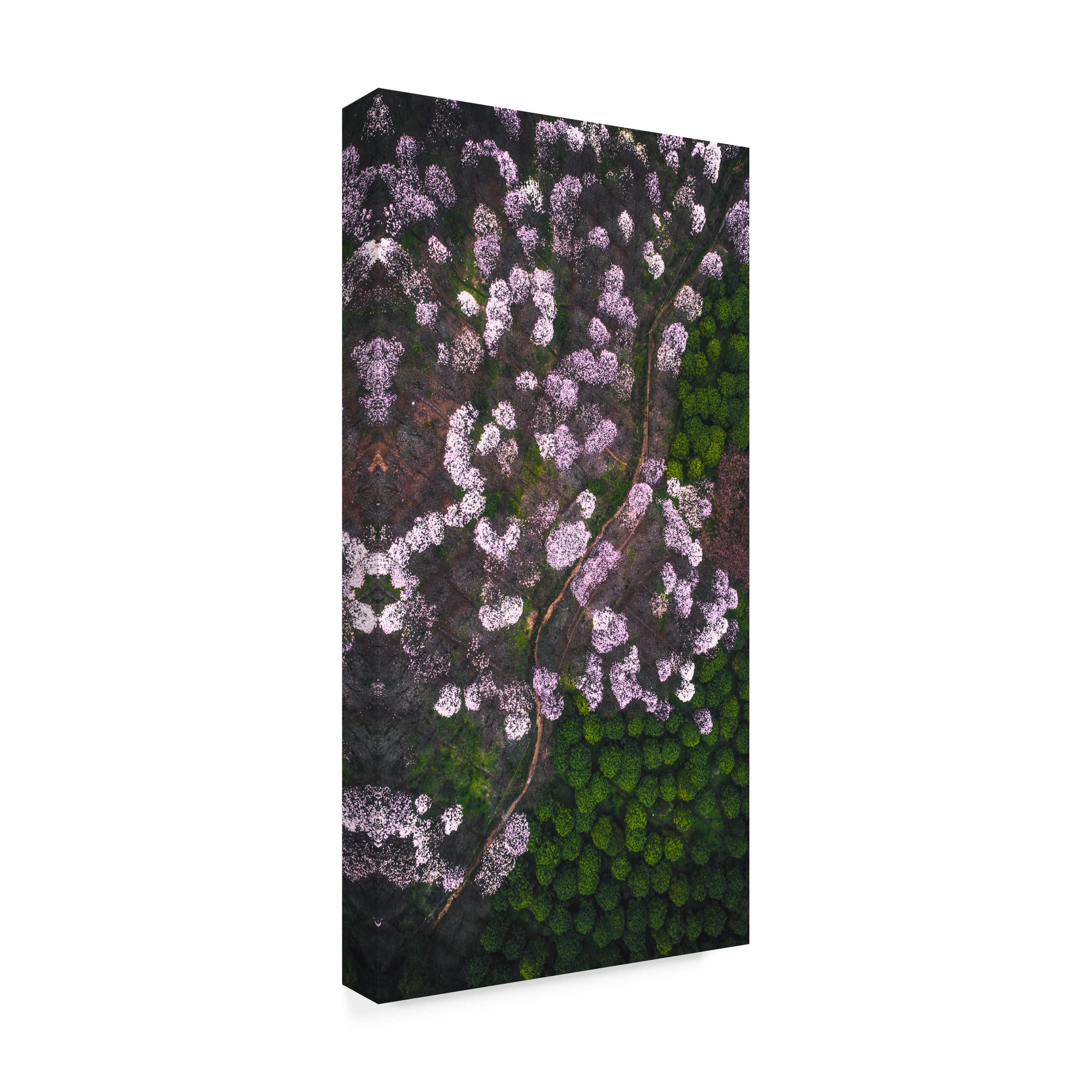 Trademark Fine Art 'The Road Of Flower' Canvas Wall Art Print by Tianqi - Floral Landscape Painting for Living Room, Bedroom & Office Decor