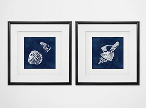 Cyanotype Shells I
