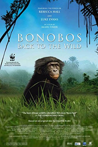 Bonobos: Back to the Wild - Premium Primate Documentary DVD | Wildlife Conservation Film | Perfect for Animal Lovers & Biology Students