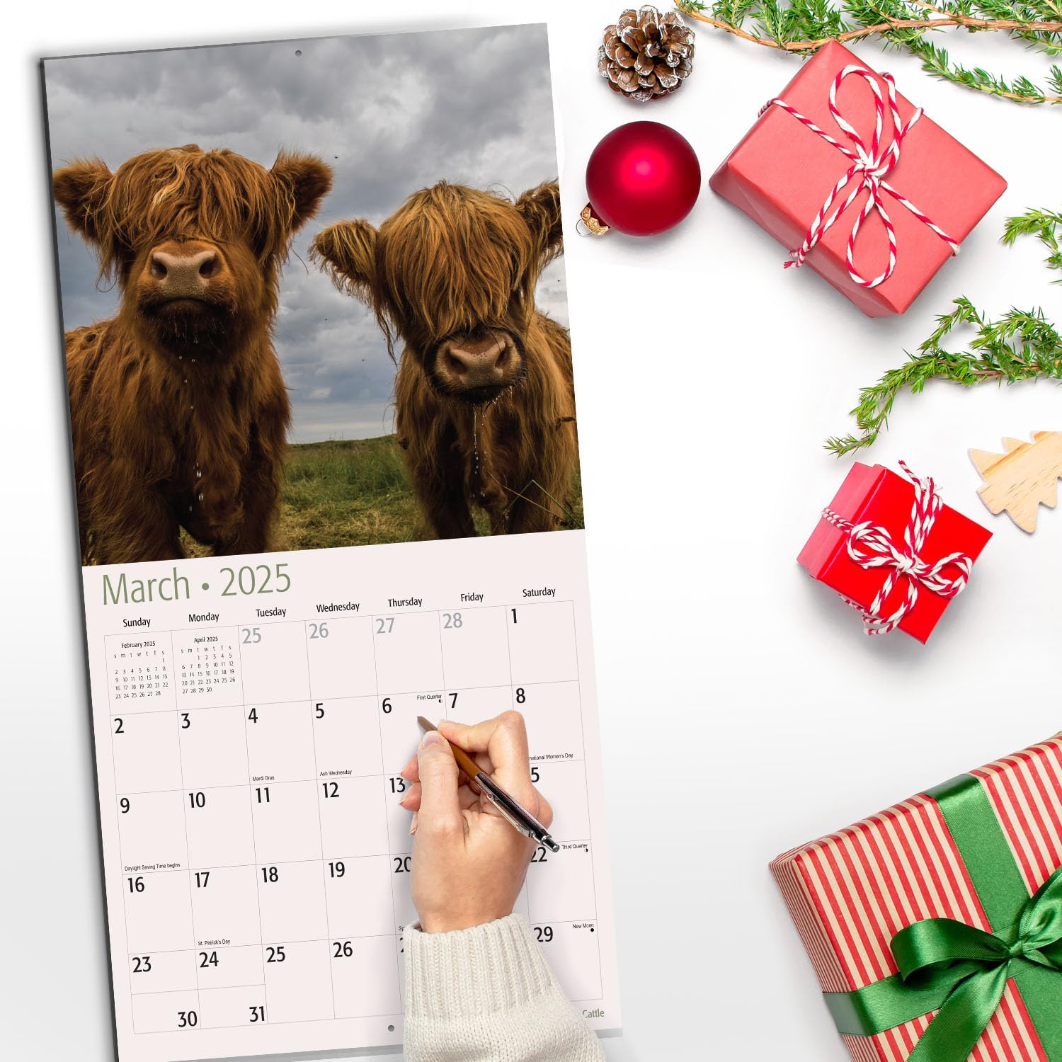 RED EMBER Highland Cattle 2025 Wall Calendar - 12 Month Large Format (12x24 Inches) with Thick Sturdy Paper - Perfect for Home, Office, or Gift Giving - Highland Cow Lover's Wall Planner for Kitchen, Classroom, or Farmhouse Decor