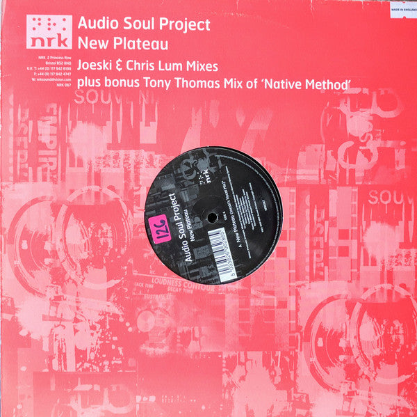 Audio Soul Project - New Plateau EP (2x12 Vinyl, VG+ Condition) | Perfect for DJ Sets, Music Collectors & Vinyl Enthusiasts