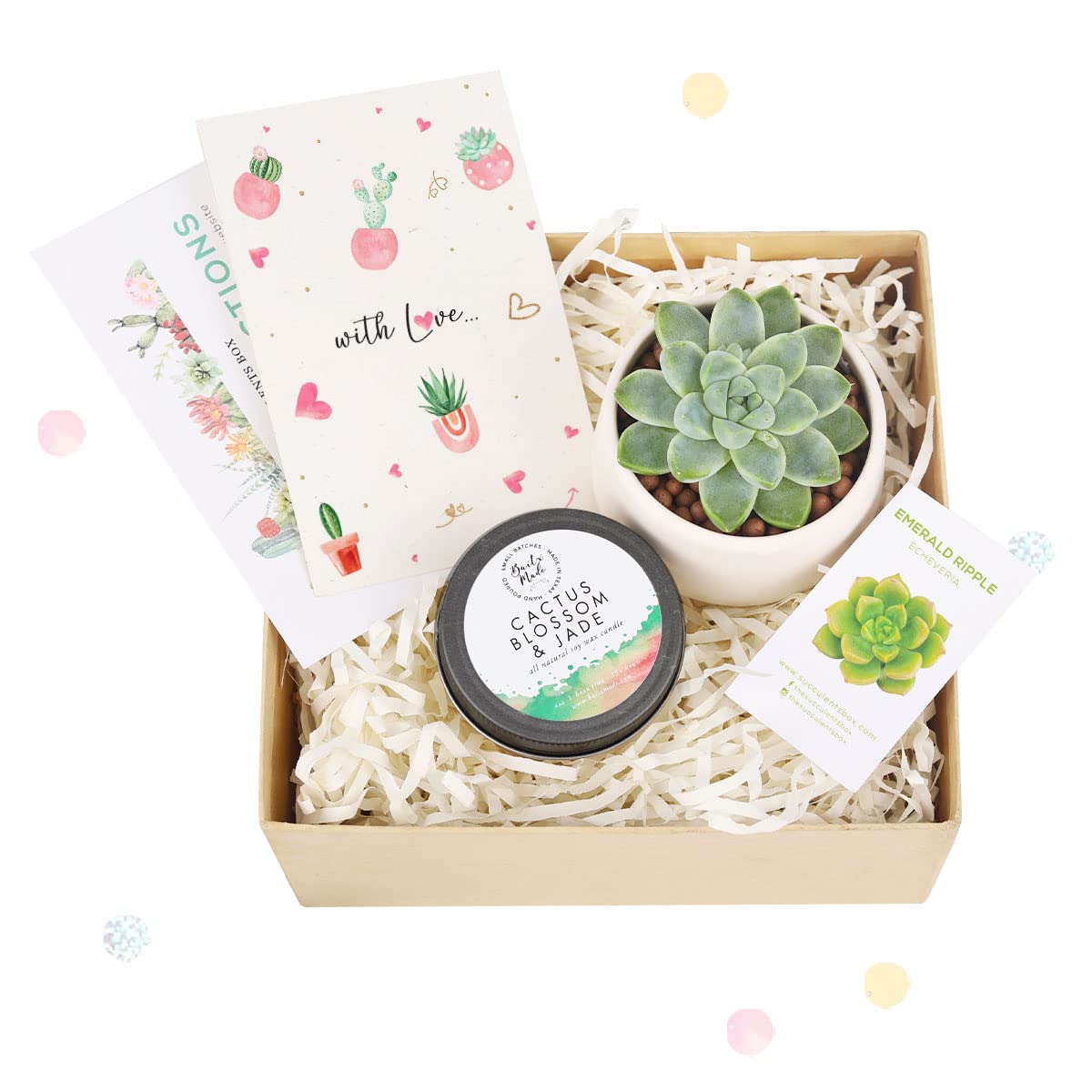 Succulent & Soy Candle Gift Box Set - Perfect Holiday Present for Him/Her - Includes Greeting Card - Ideal for Birthdays, Anniversaries & Housewarming Gifts