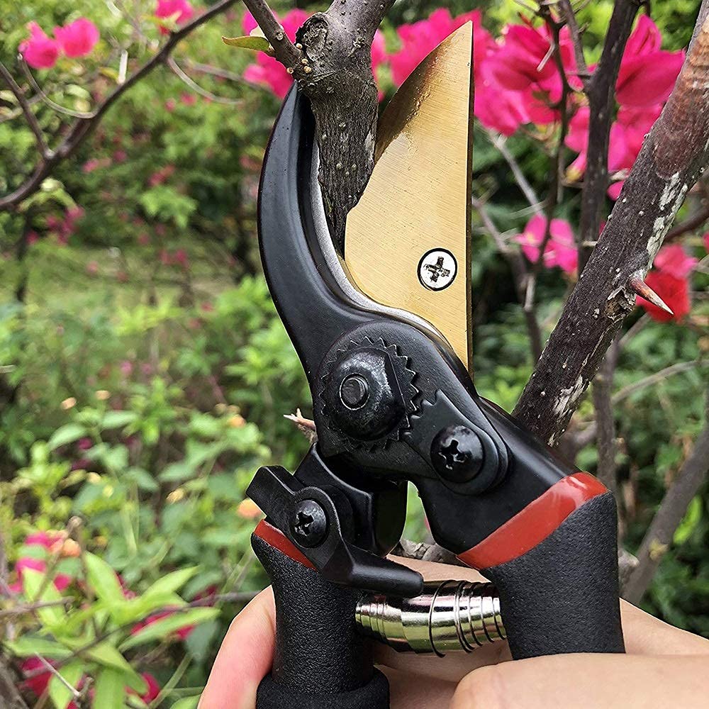 Professional Gardening Scissors & Pruning Shears with Safety Lock - Sharp Stainless Steel Blades for Tree Trimming, Plant Pruning & Landscaping - Ergonomic Non-Slip Handle for Comfortable Use (Ideal for Gardeners, Florists & DIY Enthusiasts)