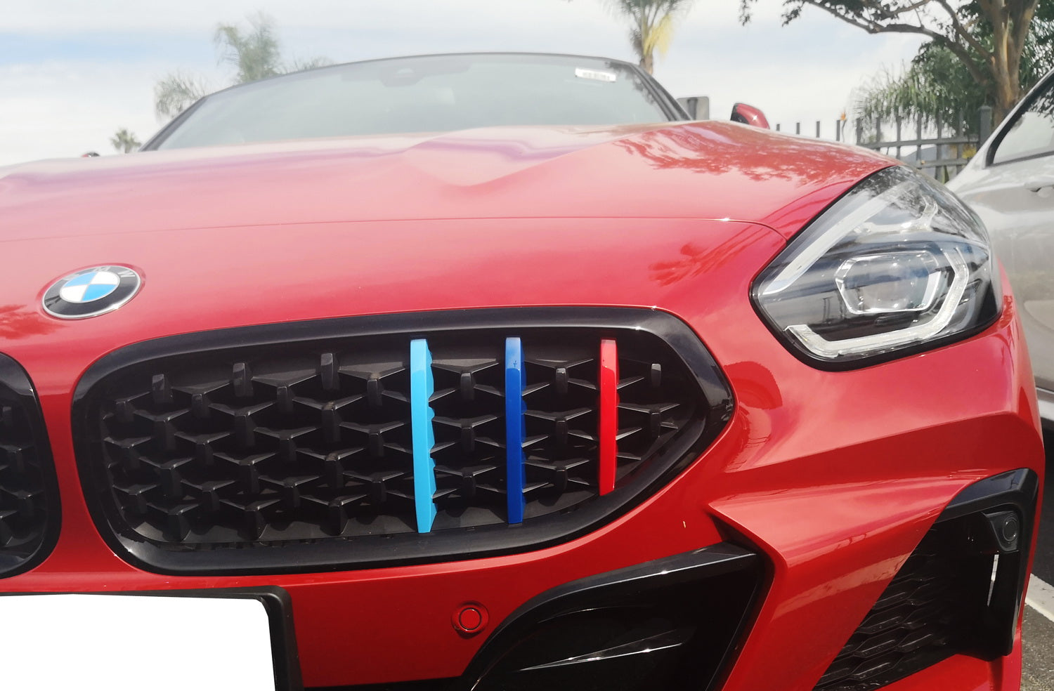3D Mesh Kidney Grills for 2019-2023 BMW G29 Z4 | ///M Style Colored Grille Insert Trims | Upgrade Your Front Grille for Sporty Look & Enhanced Airflow
