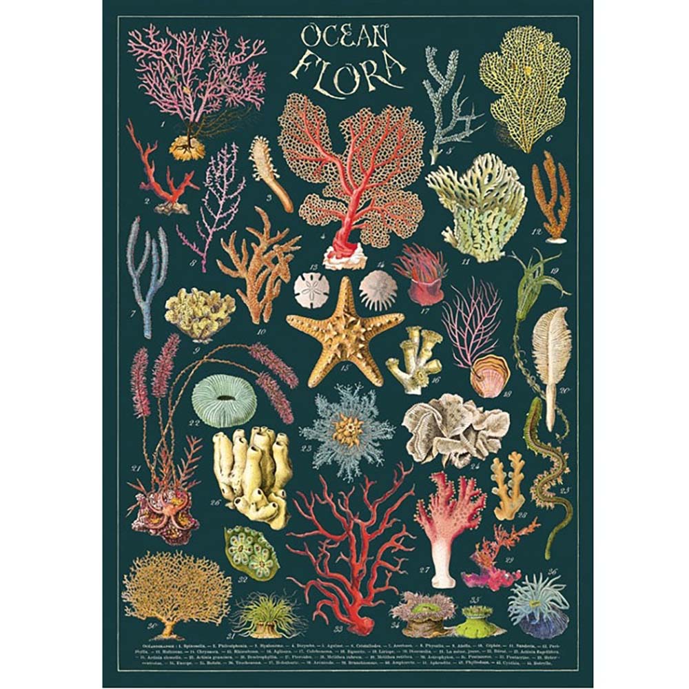Ocean Flora Printed Stretch Wrap - Eco-Friendly Gift Wrapping for Birthdays, Parties & Home Decor