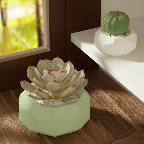 ehd-flowerpot-2-pack-313e23