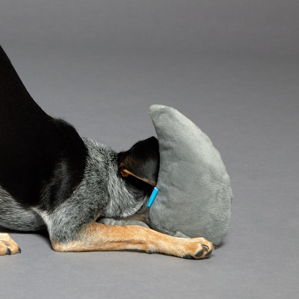 20% OFF BarkShop Great White Bark Wearable Dog Plush Toy Set - Soft & Durable Plush Chew Toy for Small & Large Dogs - Perfect for Playtime, Cuddling & Anxiety Relief