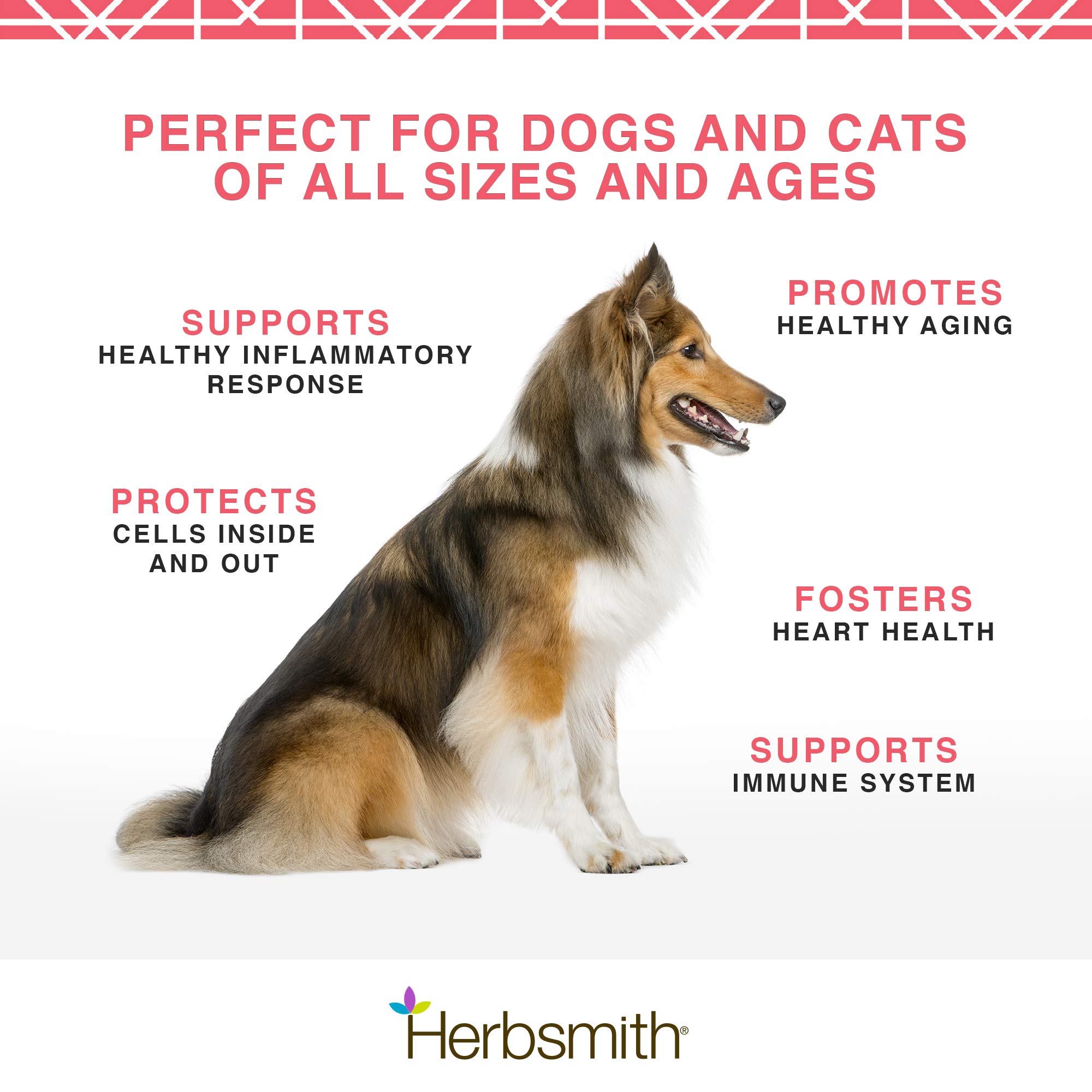 Herbsmith Pure Krill for Dogs - Wild-Caught Antarctic Krill Oil Supplement with Natural Astaxanthin - Single Ingredient Omega 3 Fatty Acids - 400g Ready-to-Use Powder - Supports Joint, Skin & Coat Health - Perfect for Senior Dogs & Active Pets