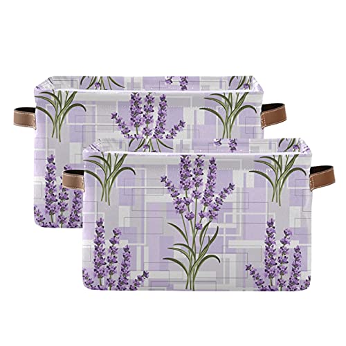 Purple Lavender