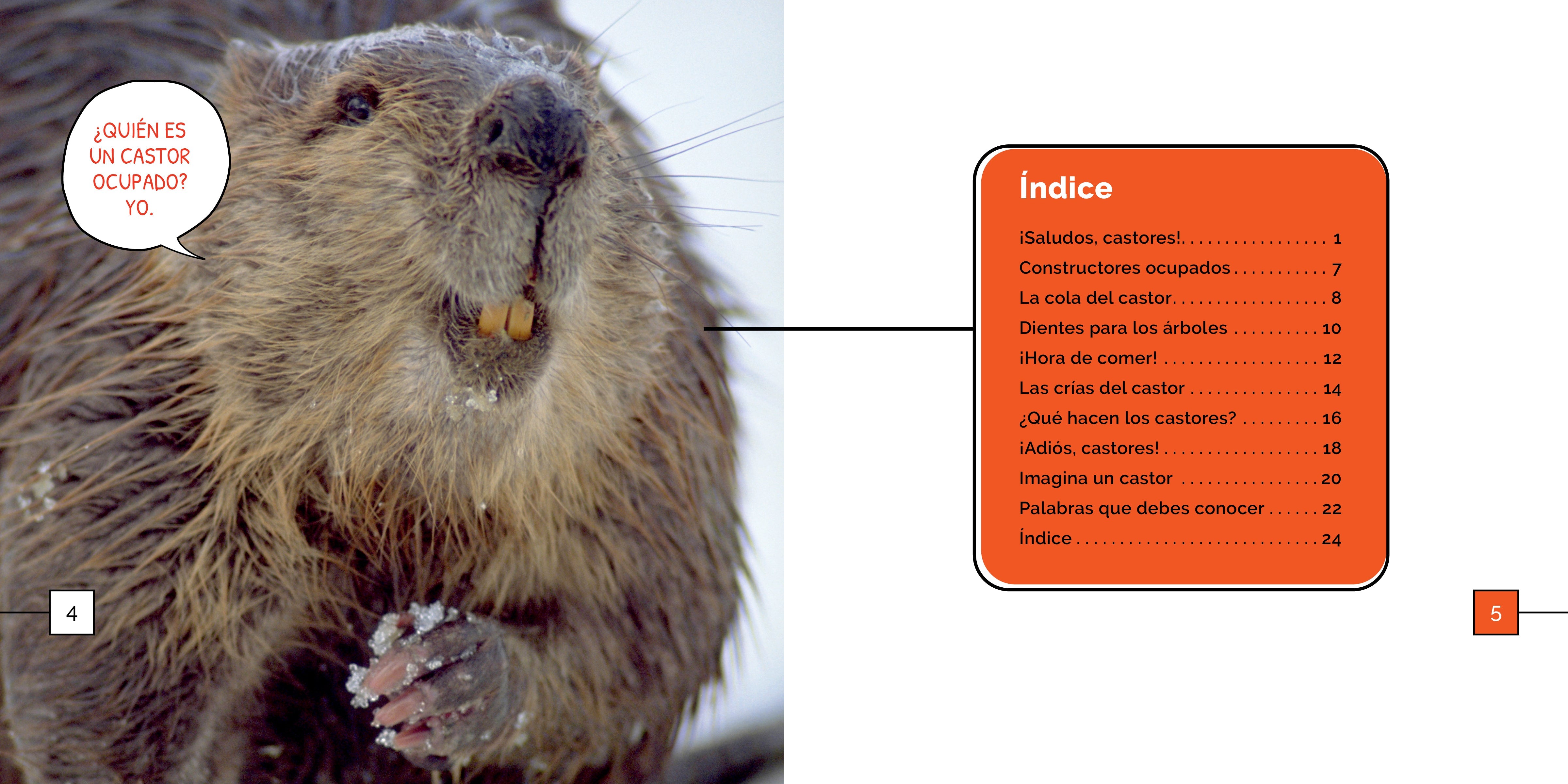 Los Castores Maravillas - Premium Quality Beavers Plush Toy for Kids & Collectors | Perfect for Gifts, Nursery Decor & Animal Lovers
