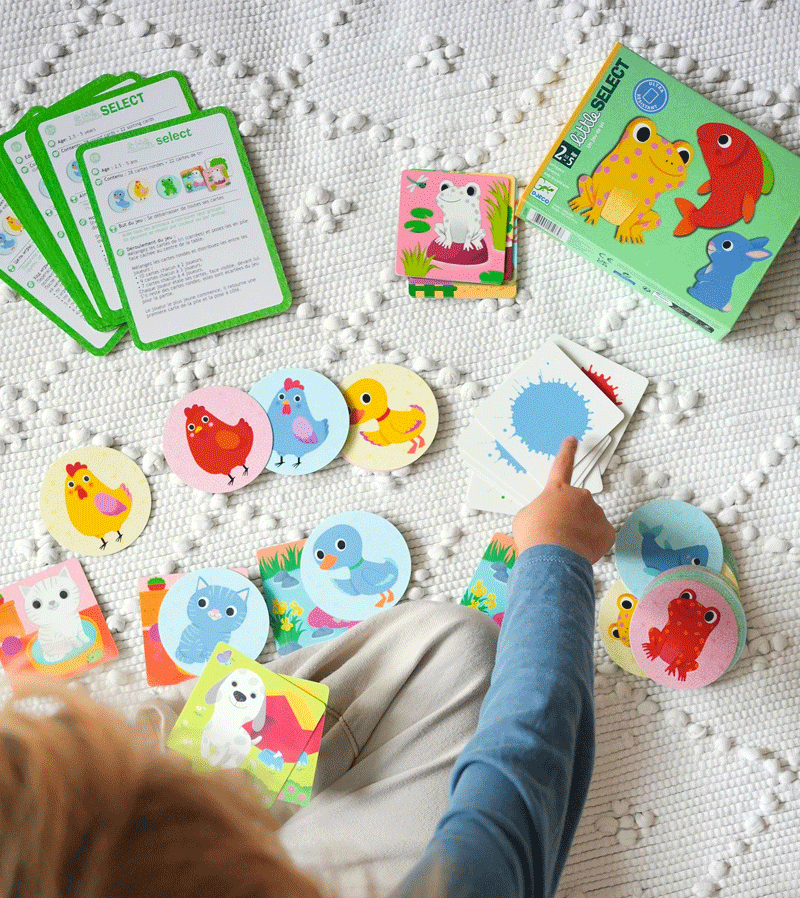 Educational Card Game for Toddlers - Little Select by Djeco | Fun Learning Activity for Preschool Kids & Family Game Night