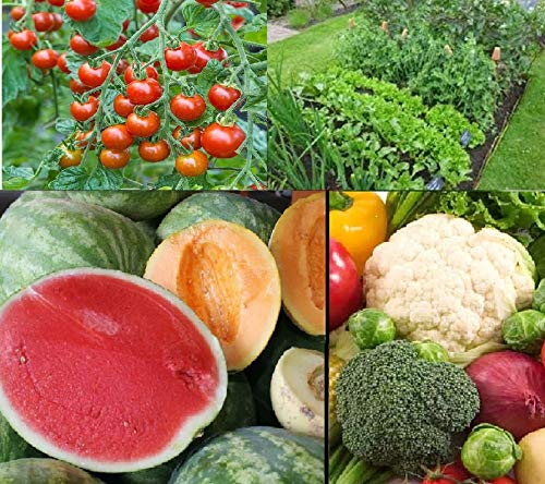 Organic Fruit & Vegetable Garden Seed Kit - 50+ Non-GMO Seeds for Watermelon, Cantaloupe, Tomato, Broccoli & Cauliflower | Home Gardening Starter Pack for Backyard Planting, Raised Beds & Container Gardens