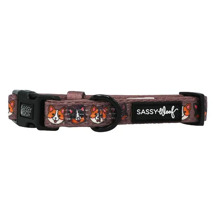 Premium Corgi Dog Collar - Soft & Comfortable Pet Collar for Small Dogs - Perfect for Daily Walks, Training & Outdoor Adventures
