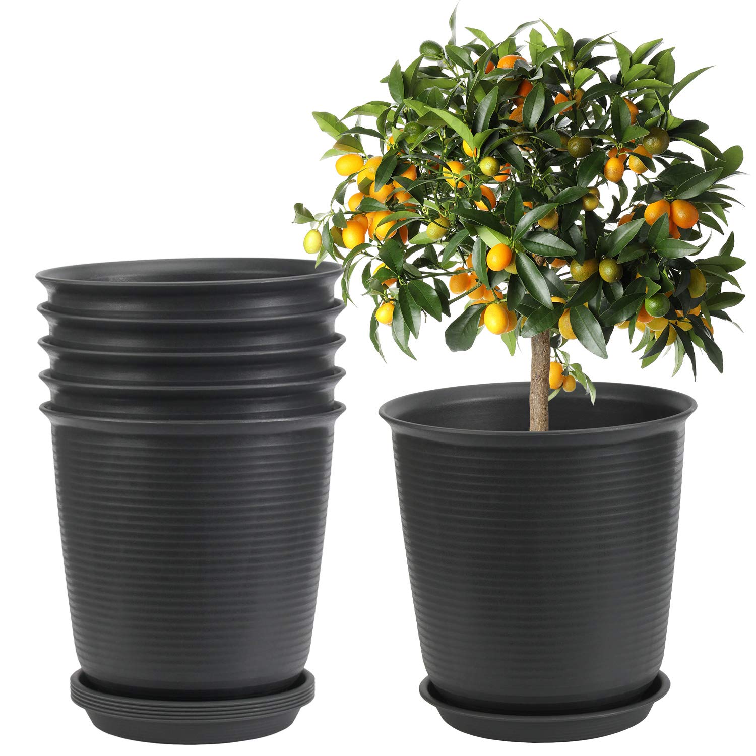 9.5 Inch Plastic Plant Pots with Drainage Holes & Trays - 6 Pack Large Indoor/Outdoor Flower Planters for Garden, Patio, Balcony - Perfect for Herbs, Succulents & Houseplants (Black)