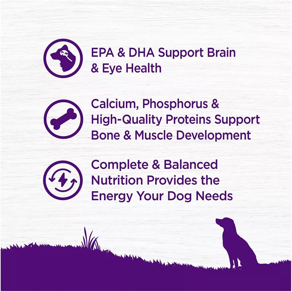 Complete Health Grain-Free Chicken & Salmon Puppy Dry Dog Food - High Protein, Nutrient-Rich Kibble for Growing Puppies - Perfect for Small, Medium & Large Breed Puppies