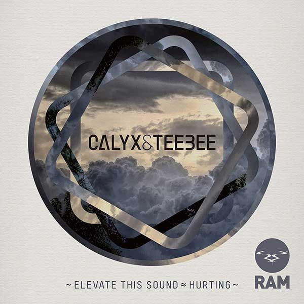Calyx & TeeBee - Elevate This Sound / Hurting 12