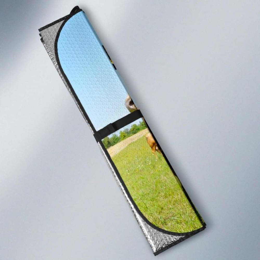 Car Sun Shade for Windshield - Universal Fit 25