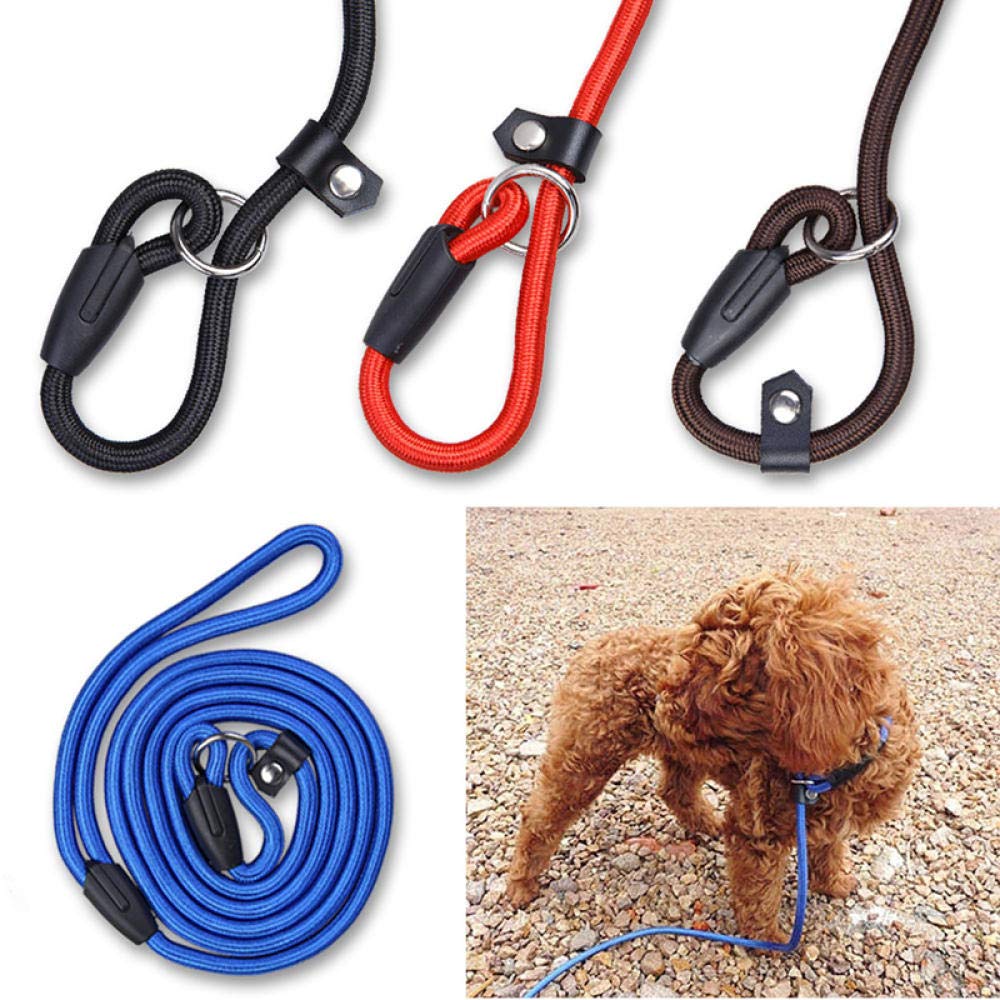 Durable Nylon Adjustable Dog Leash - Blue Pet Training Lead with Comfortable Handle for Small Medium Large Dogs | Perfect for Walking, Running, Hiking & Outdoor Adventures