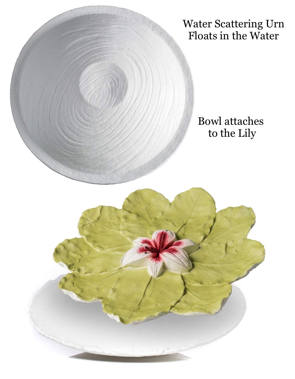 Biodegradable Cremation Urn for Water Burial - Eco-Friendly Scattering Urn for Ashes in Ocean, Sea or Ground, Water Soluble & Floating Design, Large Adult Size - Perfect for Memorials, Eco-Conscious Funerals & Natural Ash Scattering Ceremonies