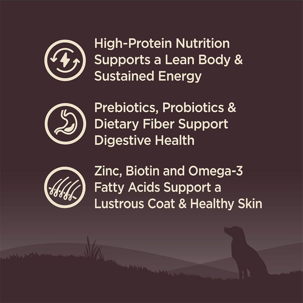 Premium CORE Turkey Small Breed Adult Dry Dog Food - High Protein, Grain-Free Recipe for Healthy Weight & Digestion - Perfect for Toy & Miniature Dogs at Home or Travel