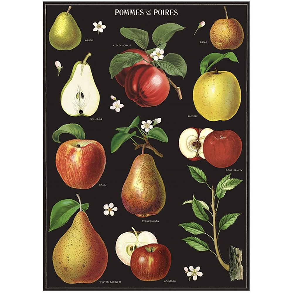 Fresh Fruit Wrap for Apples & Pears - Perfect for School Lunches, Picnics & Healthy Snacking