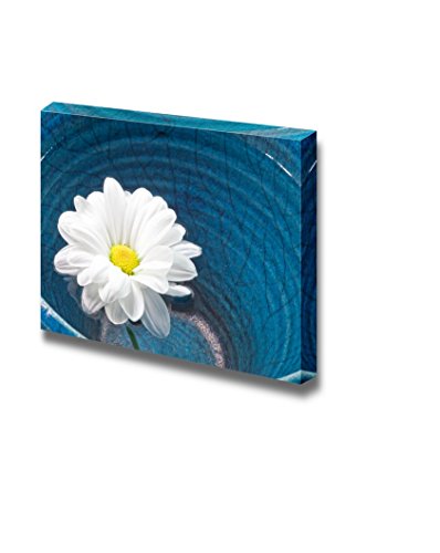 Blossoming Daisy