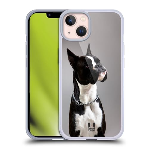 Black And White Dog Boxer