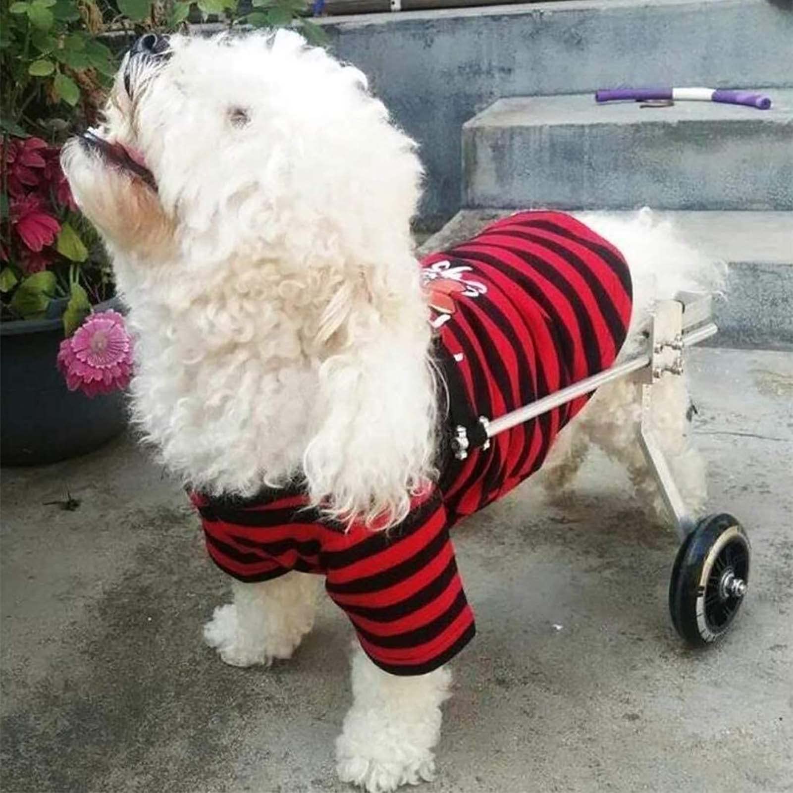 Adjustable Dog Wheelchair for Disabled Pets - 2 Wheel Rear Leg Support Stroller for Rehabilitation Training & Mobility Aid - Perfect for Injured, Elderly, or Paralyzed Dogs - Indoor & Outdoor Use