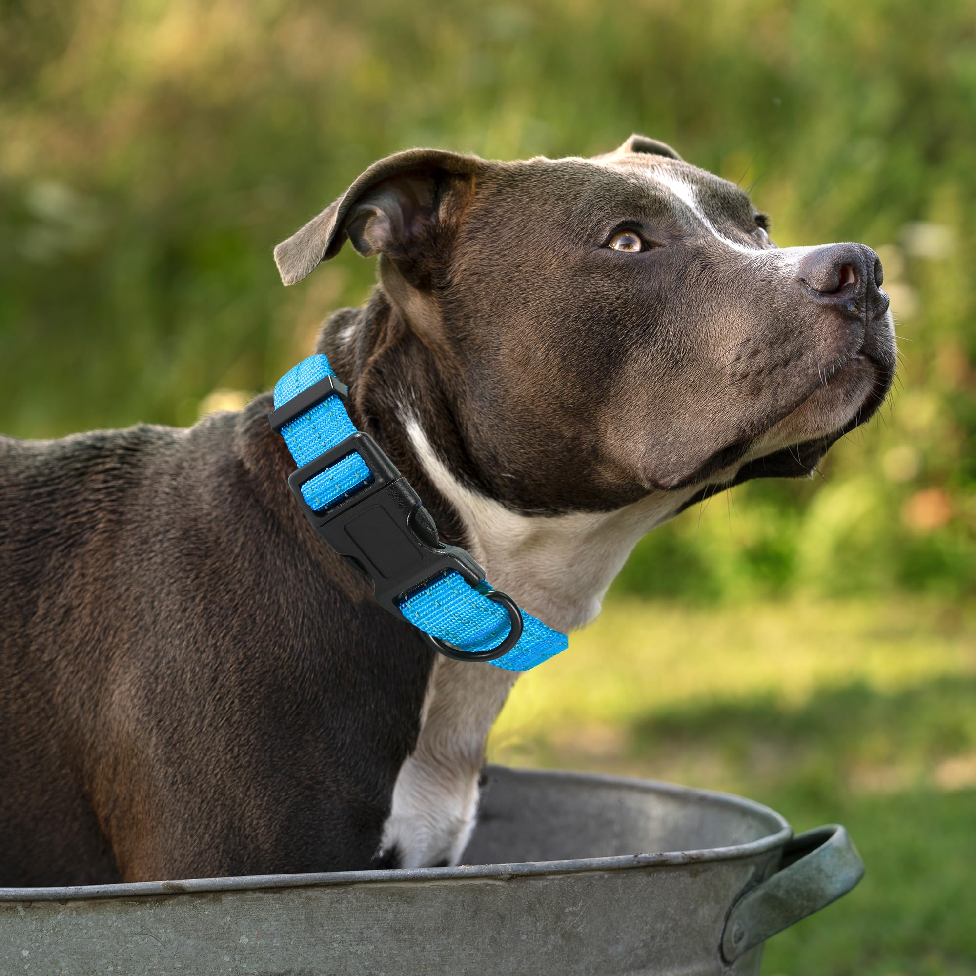 Reflective Nylon Dog Collar - Lightweight Puppy Collar for Small Dogs (Dark Blue) - Perfect for Night Walks & Outdoor Adventures