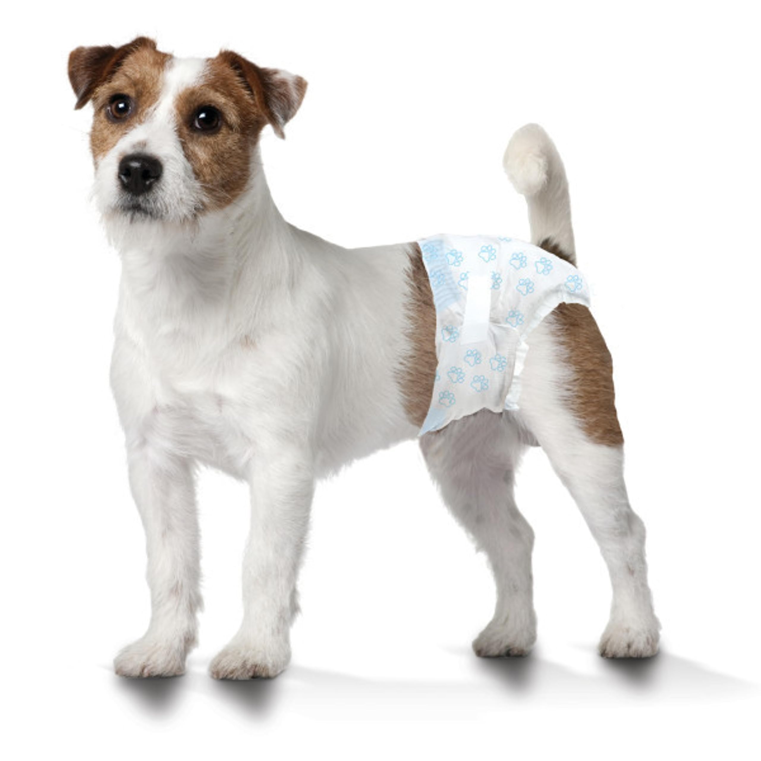 Four Paws Wee-Wee Super Absorbent Disposable Adjustable Dog Diapers for Potty Training - Leak-Proof Protection for Puppies & Small Dogs, Small Size (36 Count) - Perfect for Housebreaking, Travel & Overnight Use