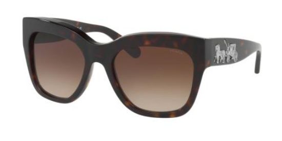 Coach HC8213 512013 Dark Tortoiseshell Sunglasses - Stylish UV Protection Shades for Women & Men - Perfect for Driving, Beach & Outdoor Activities