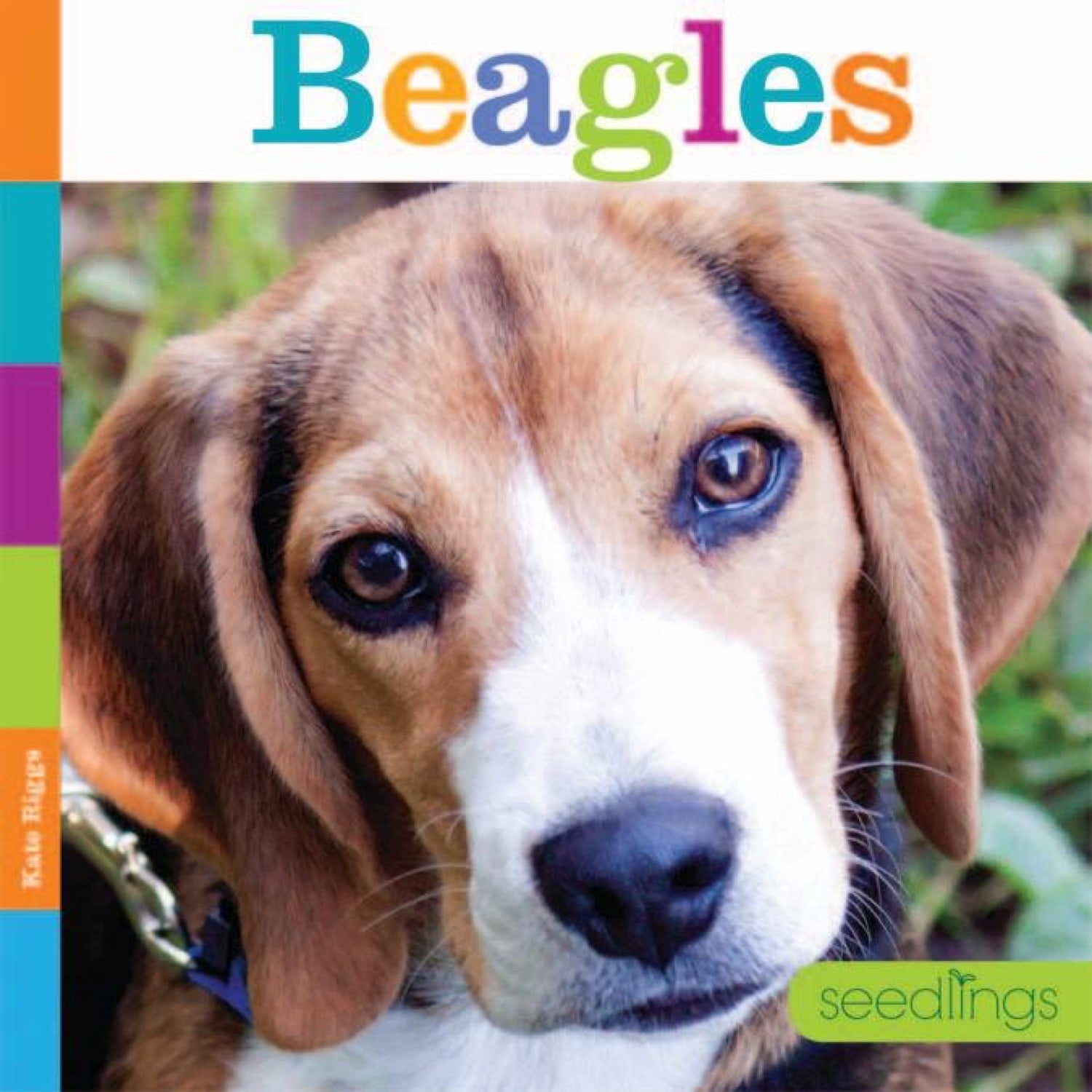 Beagles Book - ISBN 9781608186617 | Dog Training, Pet Care & Breed Guide for Beagle Lovers | Perfect for Gifts & Dog Owners