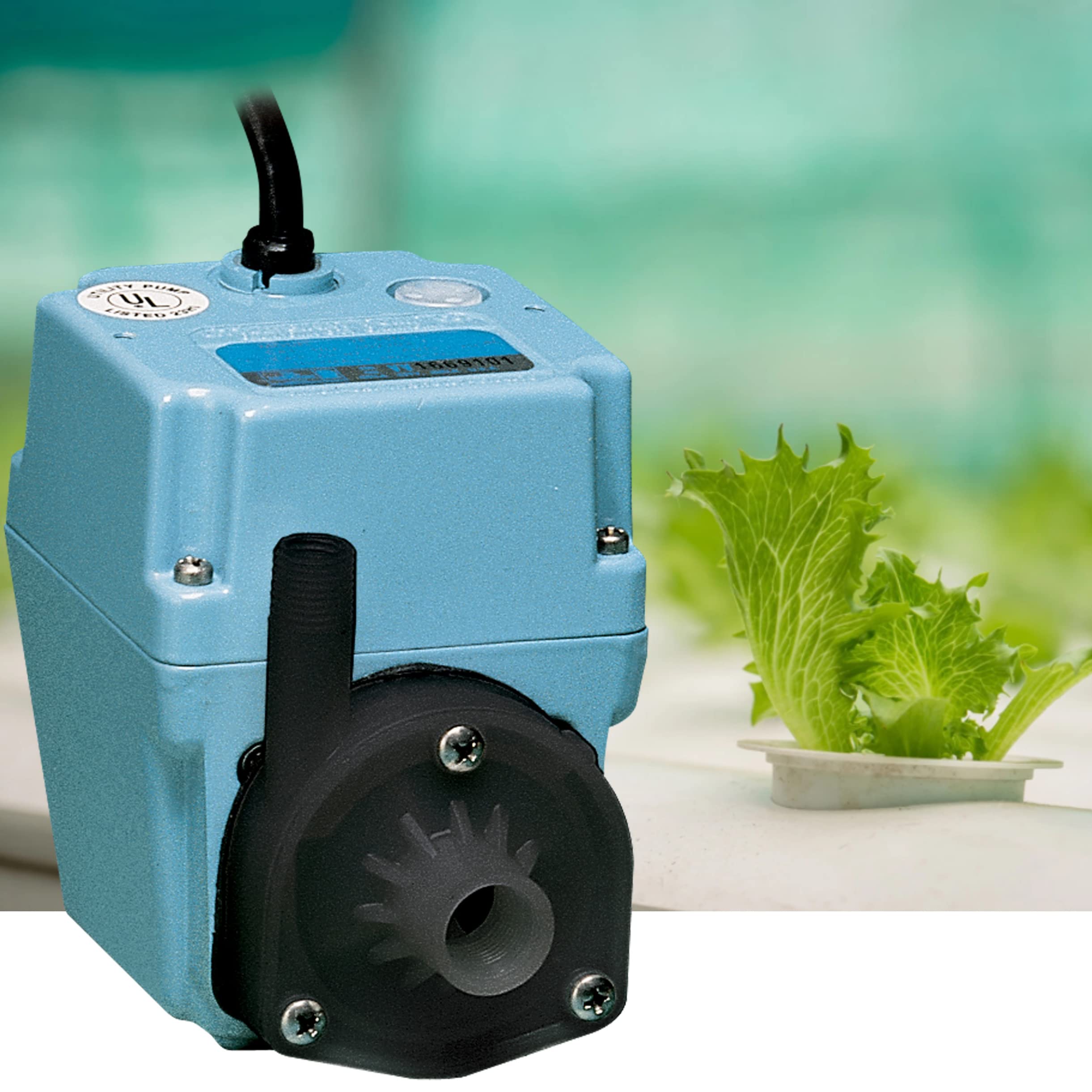 Little Giant 2E-38NT 115V 300 GPH 1/40 HP Manual Inline Submersible Oil-Filled Aluminum Water Pump with 10-Foot Cord - Blue (Model 502286) - Perfect for Basement Drainage, Aquariums, and Small Water Transfer Applications