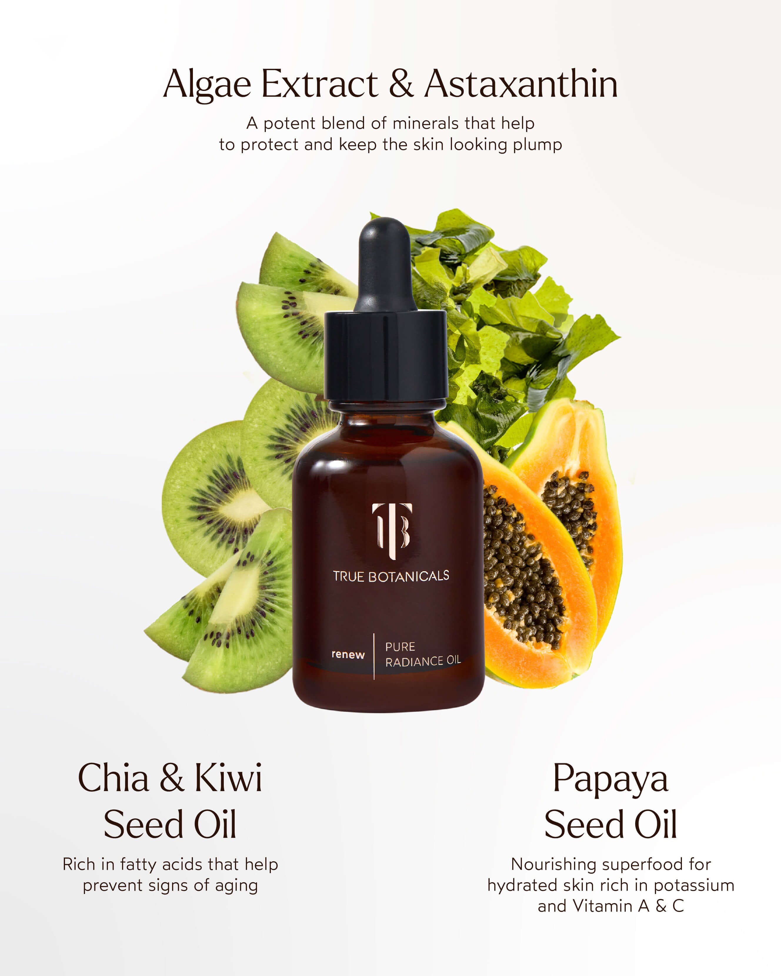 Renew Pure Radiance Hydrating Oil for Face & Body - Organic Moisturizing Treatment for Dry Skin - Perfect for Nighttime Skincare & Massage Therapy
