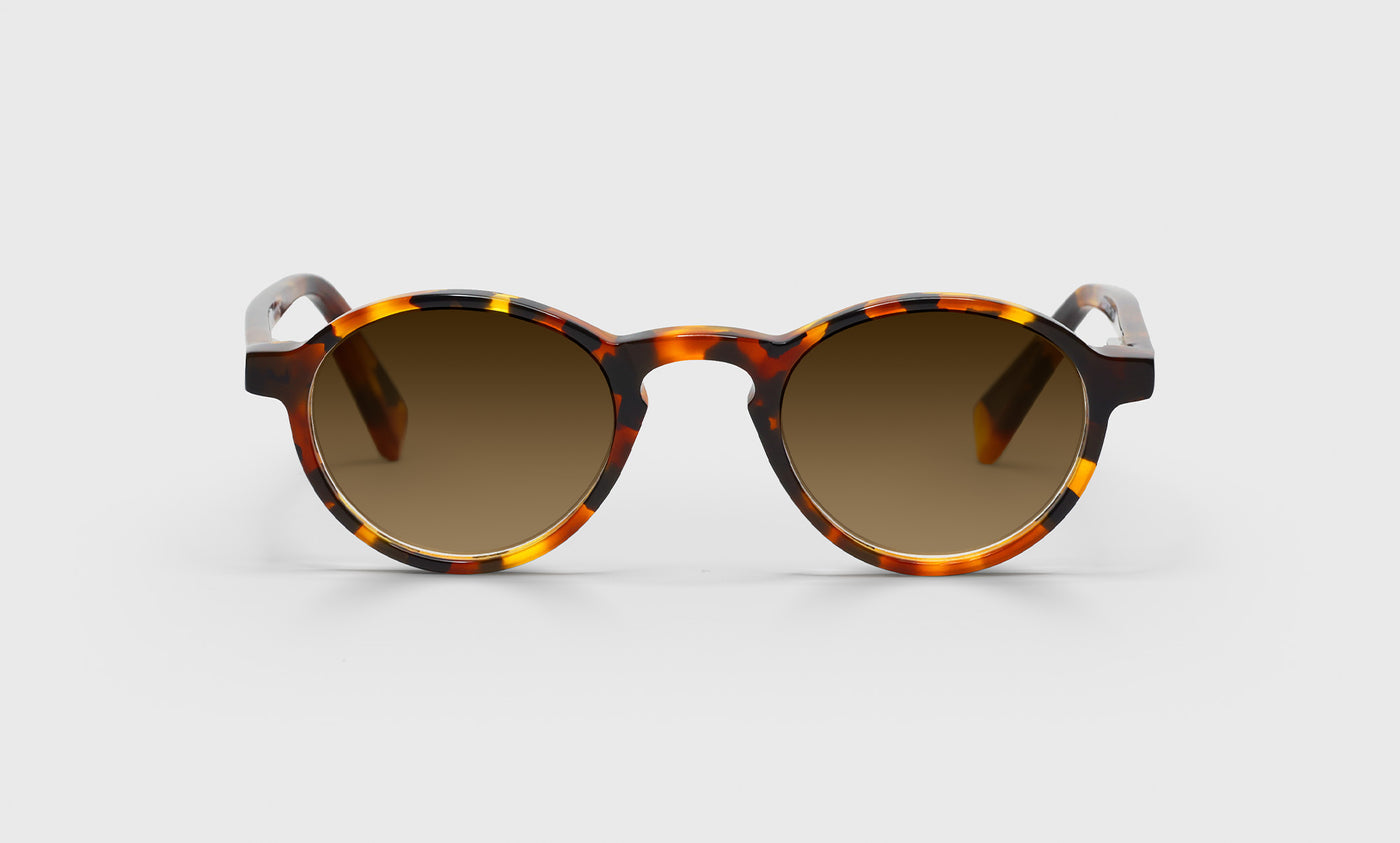 Board Stiff Narrow Color 19 Tortoise Front and Temples - Stylish Eyeglass Frames for Men & Women - Perfect for Office, Reading, and Everyday Wear