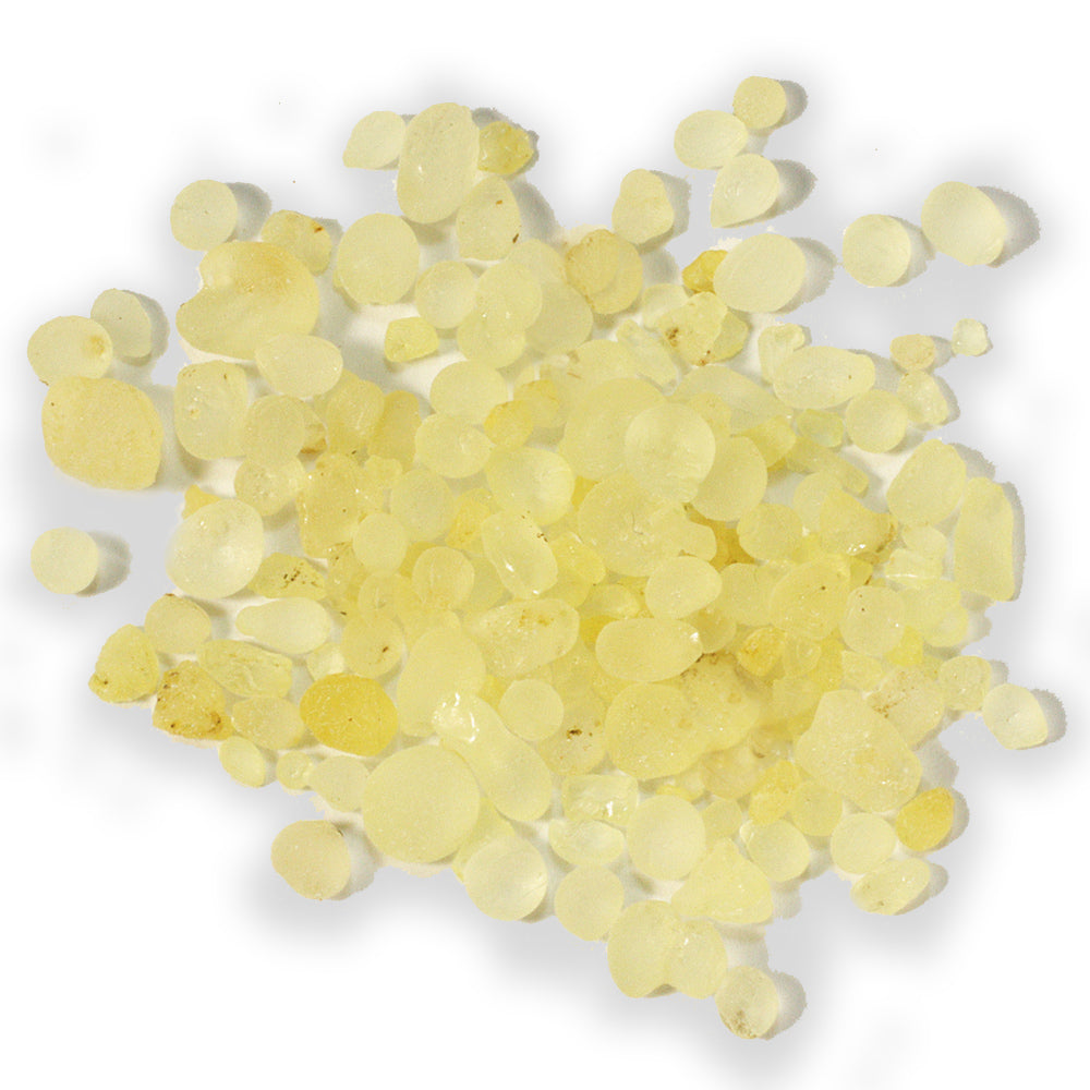 Premium Greek Mastic Gum (Chios Mastiha) 100% Natural Resin - Authentic Chewing Gum for Digestive Health & Fresh Breath - Perfect for Oral Care, Cooking & Baking