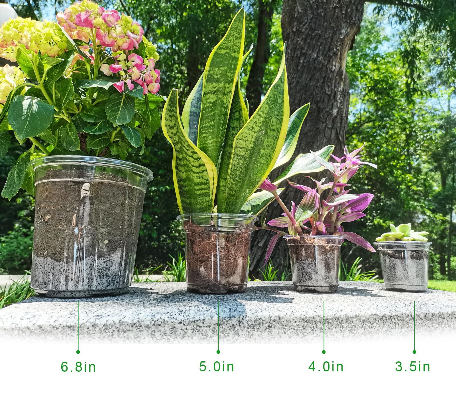 Clear Plastic Plant Pots with Drainage Holes - 4 Sizes (3.5/4/5/6.8 Inch) - 40 Pack Thick Nursery Pots for Indoor Plants, Seedlings & Succulents - Perfect for Home Gardening, Plant Propagation & Office Decor