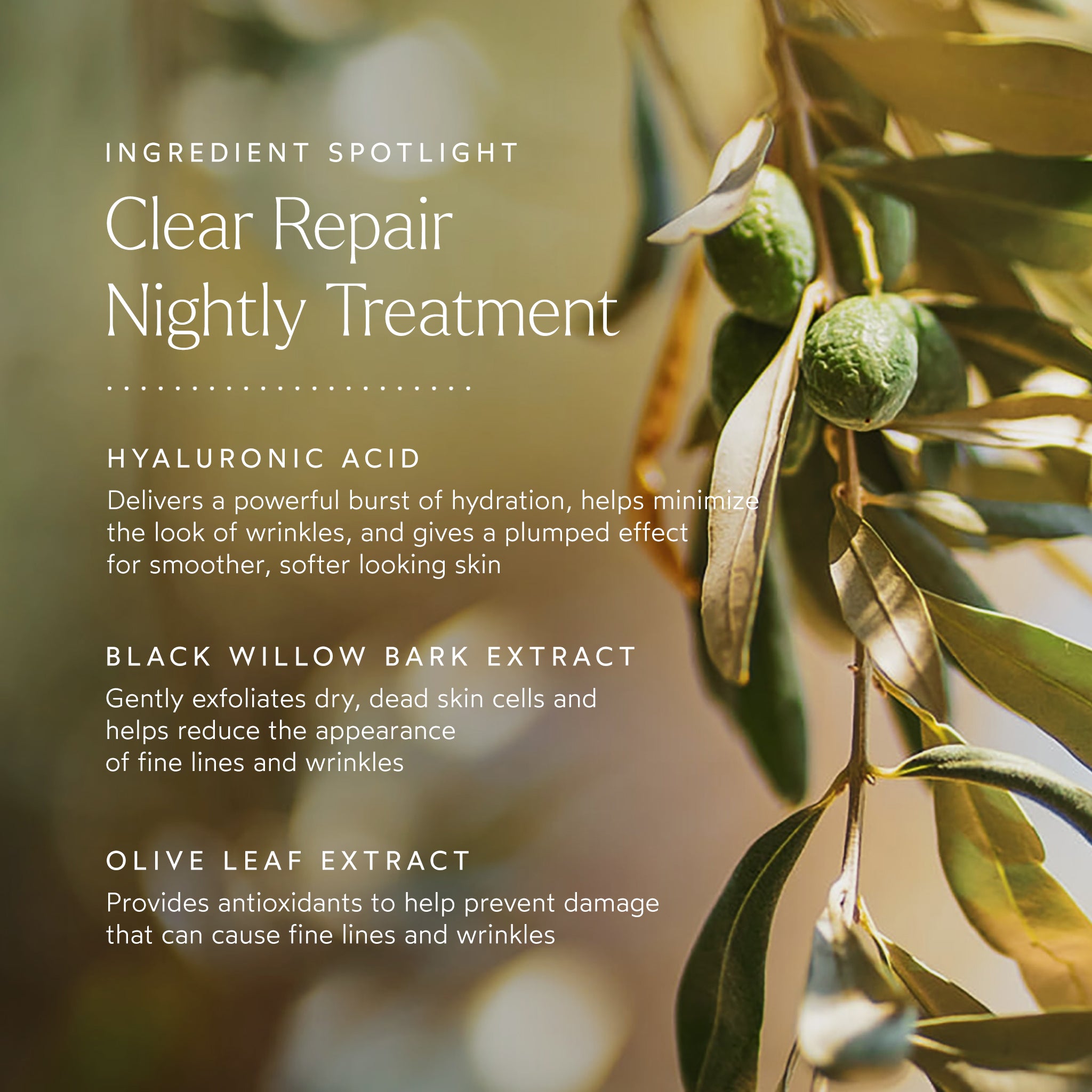 CLEAR Repair Nightly Treatment for Acne & Blemishes - Gentle Overnight Skincare Solution for Clear, Healthy Skin - Perfect for Nighttime Routine & Travel
