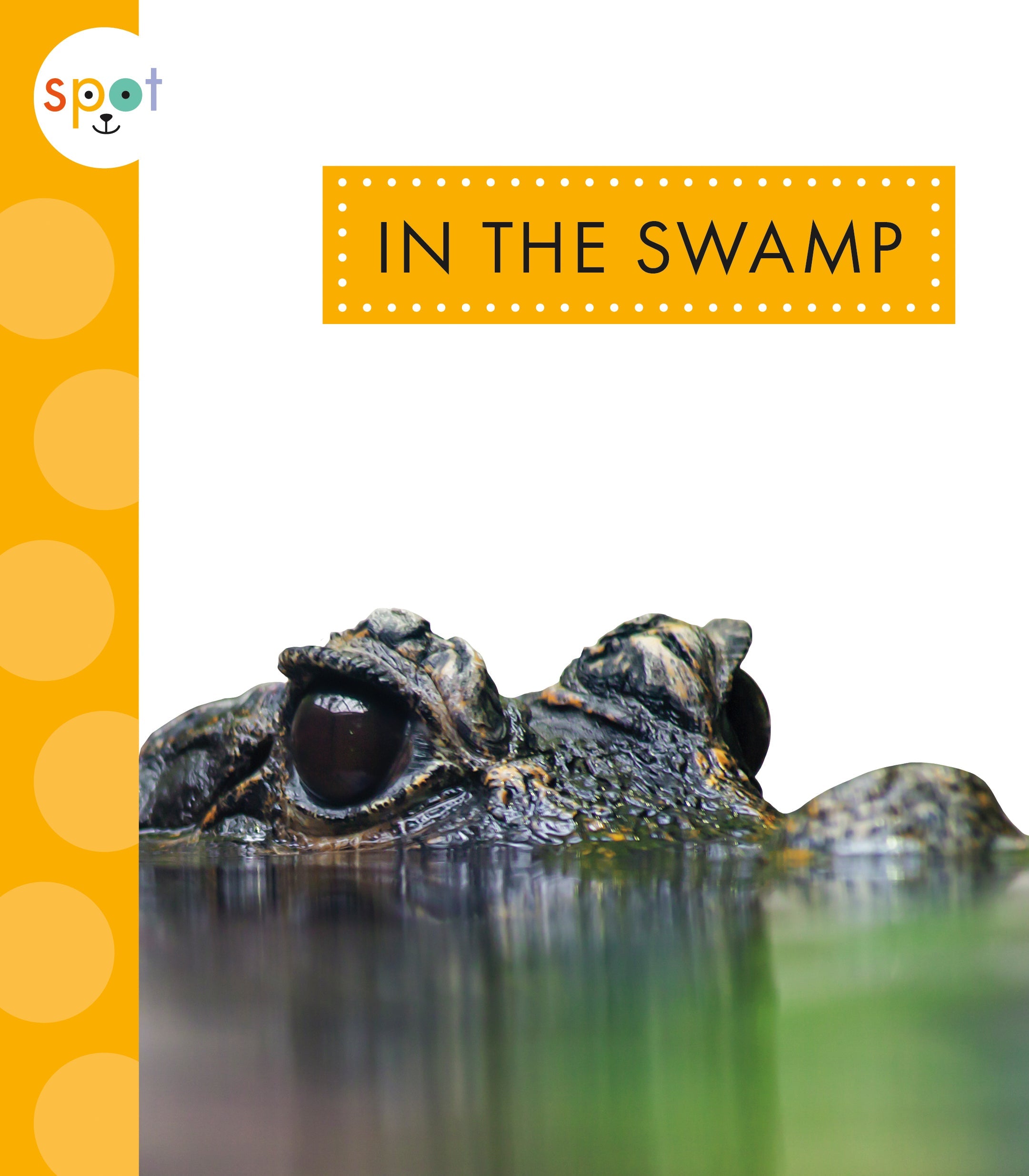 Swamp Survival Gear & Outdoor Essentials for Hiking, Camping, and Adventure | Best in the Swamp